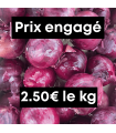 Oignons rouges (1kg)