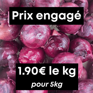 Oignons rouges (5kg) - Ferme urbaine aquaponique à Bordeaux