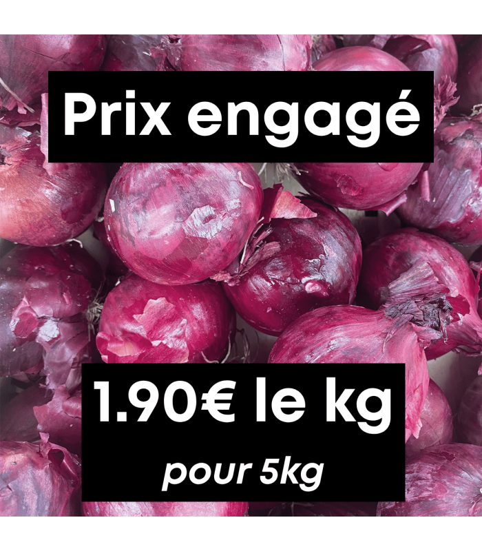 Oignons rouges (5kg)