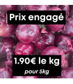 Oignons rouges (5kg)