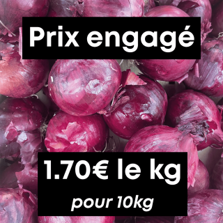 Oignons rouges (10kg) - Ferme urbaine aquaponique à Bordeaux