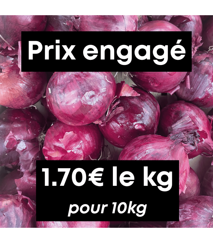 Oignons rouges (10kg)