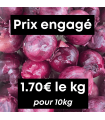 Oignons rouges (10kg)