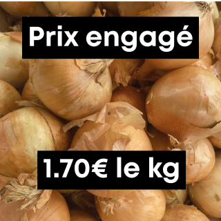 Oignons jaunes (1kg) - Ferme urbaine aquaponique à Bordeaux