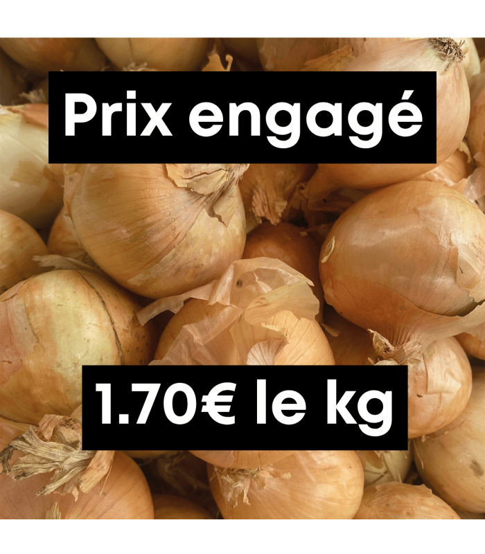 Oignons jaunes (1kg)
