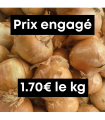 Oignons jaunes (1kg)