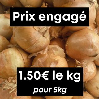 Oignons jaunes (5kg) - Ferme urbaine aquaponique à Bordeaux