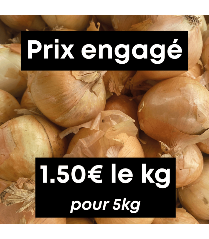 Oignons jaunes (5kg)