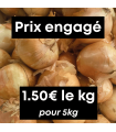 Oignons jaunes (5kg)