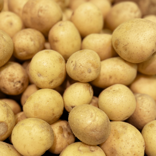 Pommes de terre grenaille (1kg) - Ferme urbaine aquaponique à Bordeaux