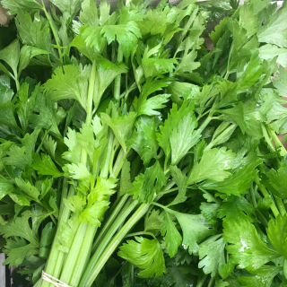 Céleri branche (botte 150g) - Ferme urbaine aquaponique à Bordeaux