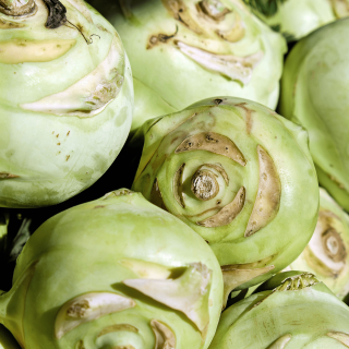 Chou rave (pièce) - Ferme urbaine aquaponique à Bordeaux