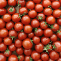 Tomates cerises (250g)