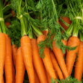 Carottes nouvelles fanes bio (botte de 600g)