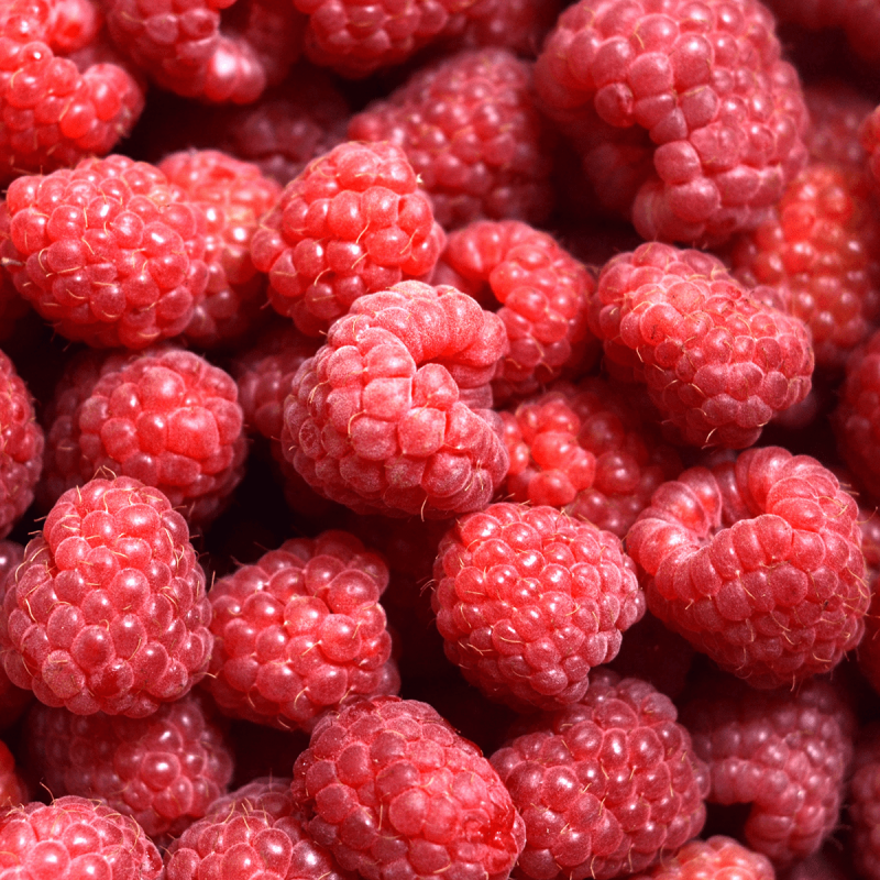 Framboises (unité 125g)