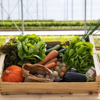 Panier de saison - Ferme urbaine aquaponique à Bordeaux