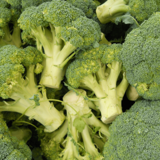 Brocoli (1 bouquet) - Ferme urbaine aquaponique à Bordeaux