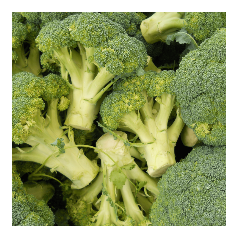 Brocoli (1 bouquet)