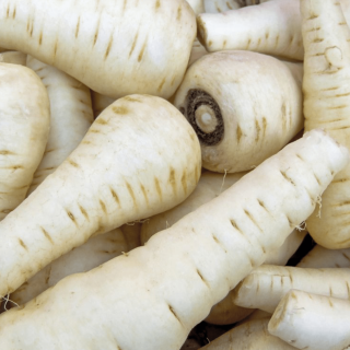 Panais (500g) - Ferme urbaine aquaponique à Bordeaux