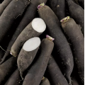 Radis Noir (pièce)