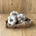 Ail blanc (250g)