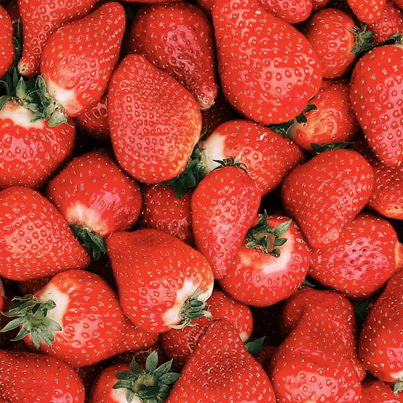 Fraises Gariguette (unité 250g)
