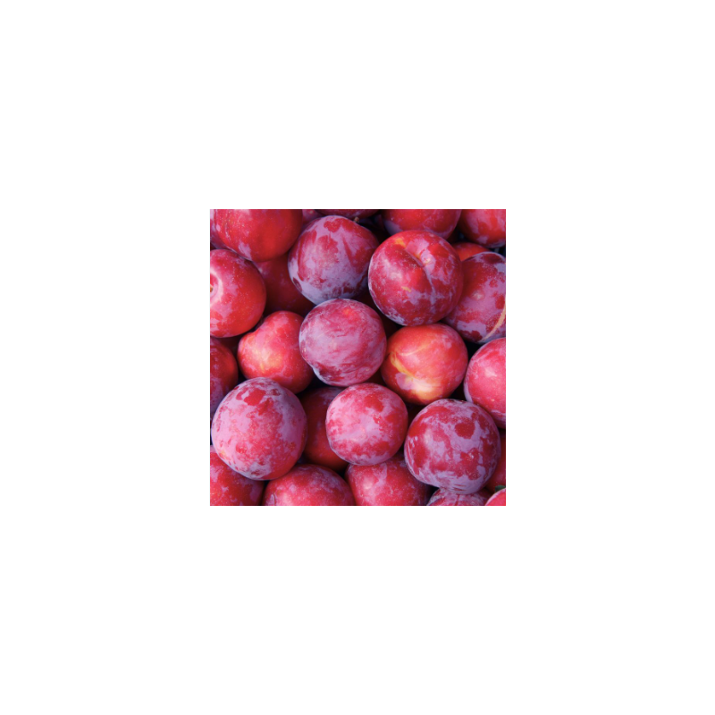 Prunes rouges (500g)
