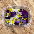 Fleurs de pensées comestibles (boîte de 40 fleurs)