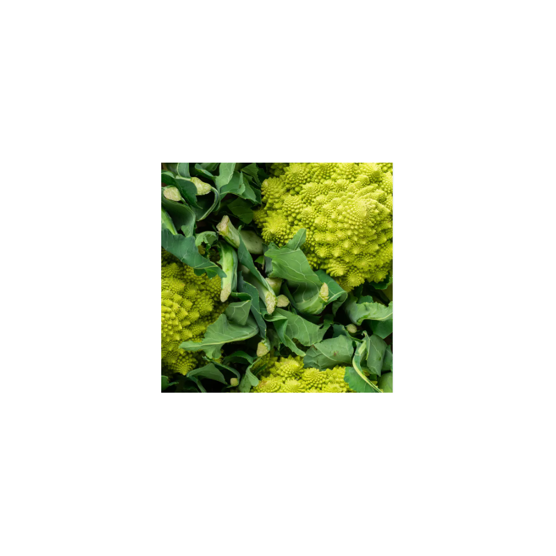 Chou romanesco (unité)