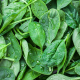 Epinard vrac (500g)