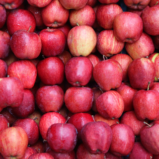 Pommes rouges (1kg) - Ferme urbaine aquaponique à Bordeaux