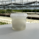 Mozzarella 1 boule - 125g (pièce)