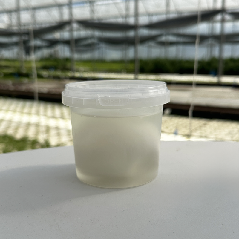 Mozzarella 1 boule - 125g (pièce)