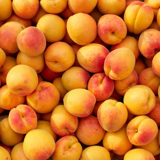 Abricots (500g) - Ferme urbaine aquaponique à Bordeaux