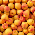 Abricots (500g)