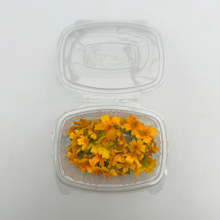 Fleurs de tagètes comestibles (boîte de 40 fleurs) - Ferme urbaine aquaponique à Bordeaux