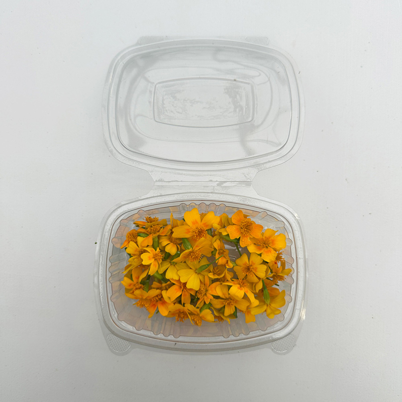 Fleurs de tagètes comestibles (boîte de 40 fleurs)