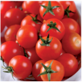 Tomates cerises bio (250g)