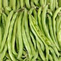 Fèves bio (500g)
