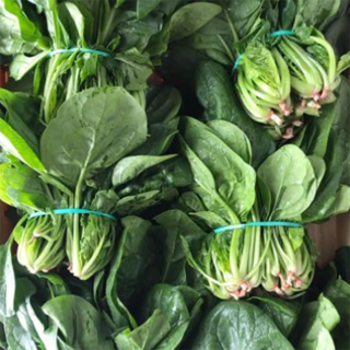 Épinard pied (botte) - Ferme urbaine aquaponique à Bordeaux