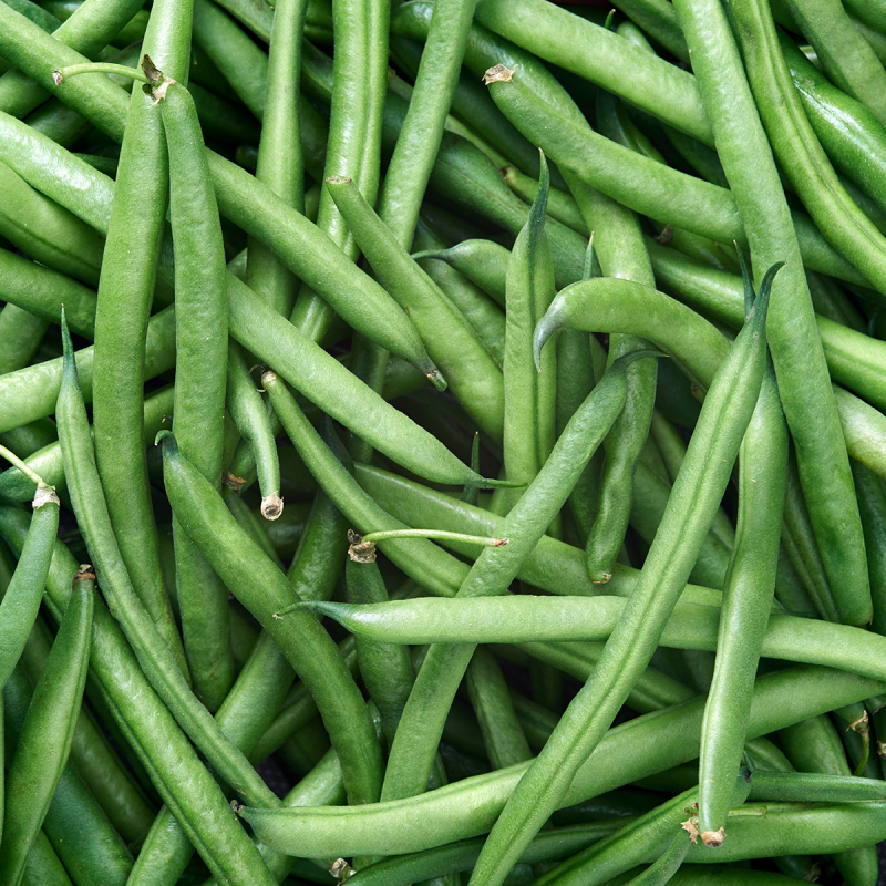Haricots verts (300g)