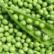 Petits pois (300g)