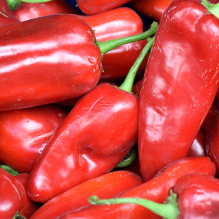 Poivrons rouges (500g) - Ferme urbaine aquaponique à Bordeaux
