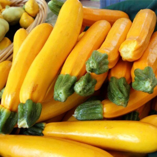 Courgettes jaunes (500g) - Ferme urbaine aquaponique à Bordeaux