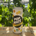 POP Maté - Gingembre (25cl)