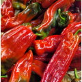 Poivrons tricolores allongés (500g)