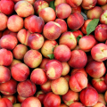 Nectarines blanches (500g)