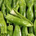 Poivron vert bio (500g)