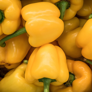 Poivron jaune (500g) - Ferme urbaine aquaponique à Bordeaux
