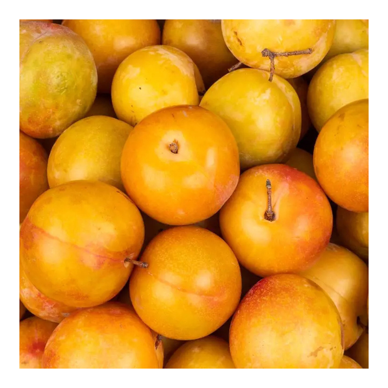 Prunes jaunes (500g)